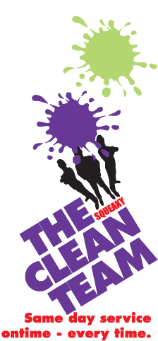 The Squeaky Clean Team Mount Eliza